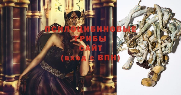 амфетамин Гусев