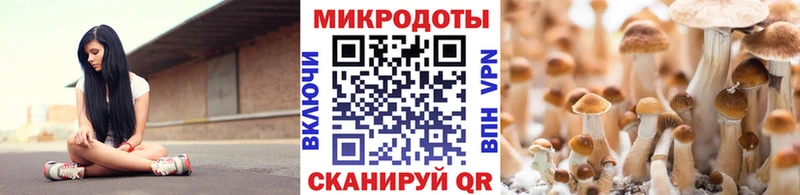 купить   Плавск  Псилоцибиновые грибы MAGIC MUSHROOMS 